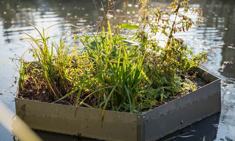 Un module en forme d'alvéole, l'Aloé, pour apporter de la biodiversité en ville ou chez les particuliers, sur les plans d'eau.