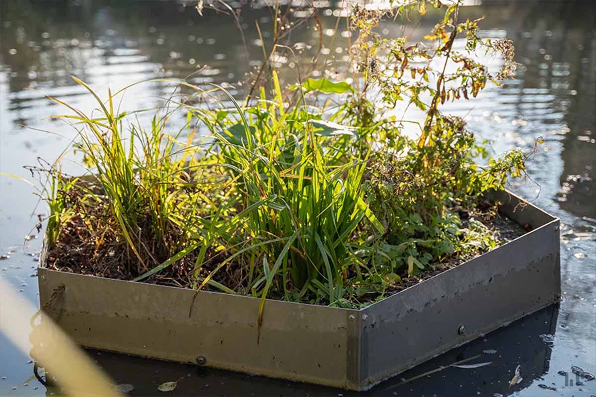 Un module en forme d'alvéole, l'Aloé, pour apporter de la biodiversité en ville ou chez les particuliers, sur les plans d'eau.