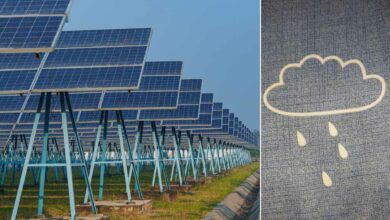 Des fermes solaires de 40 km² pour créer des précipitations sont en projet aux Émirats.