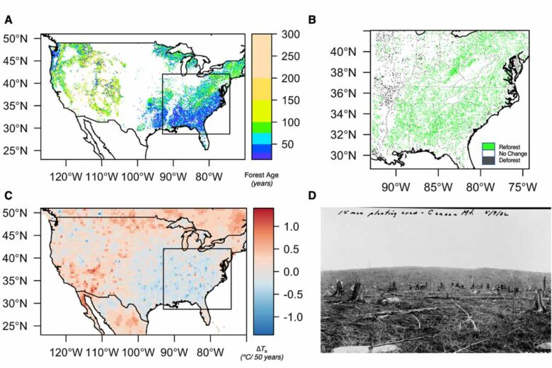 Le trou de réchauffement du sud-est des États-Unis et l'état des forêts correspondant. (A) estimation de l'âge des forêts. (B) conversion des terres entre terres agricoles et forêts de 1938 à 1992. (C) Tendance du changement de température de 1900 à 2010 (∆ T a, °C/50 ans) calculée à l'aide d'un modèle de tendance saisonnière. (D) Photo historique d'une équipe de plantation. Photo originale au bureau du service forestier à Elinks, WV.