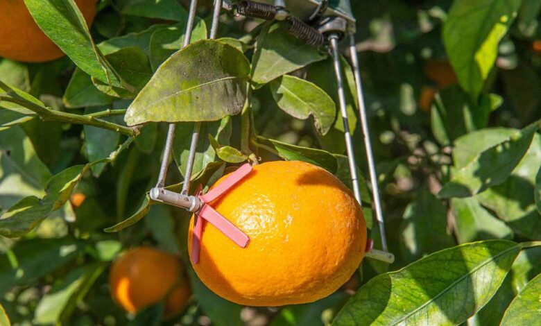 Grâce à des capteurs, l'agriculteur est en mesure d'optimiser ses cultures et son arrosage.