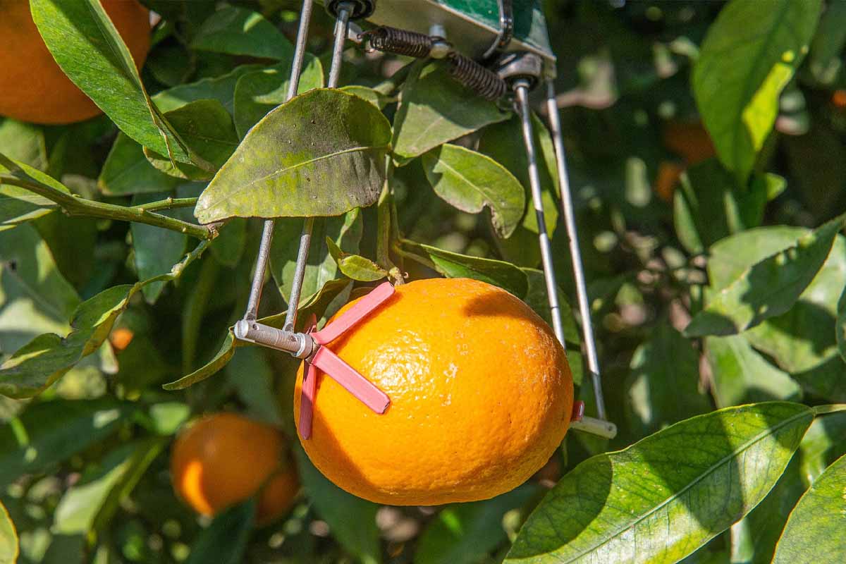 Grâce à des capteurs, l'agriculteur est en mesure d'optimiser ses cultures et son arrosage.