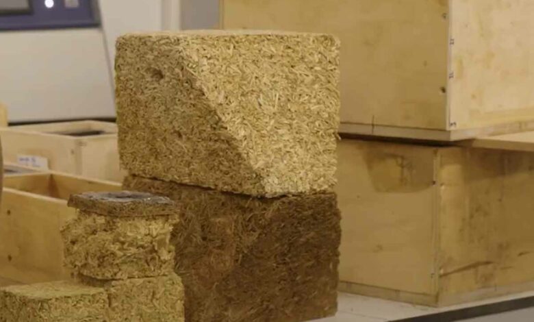 Une brique Sugarcrete en phase de développement en laboratoire à l'Université East London.
