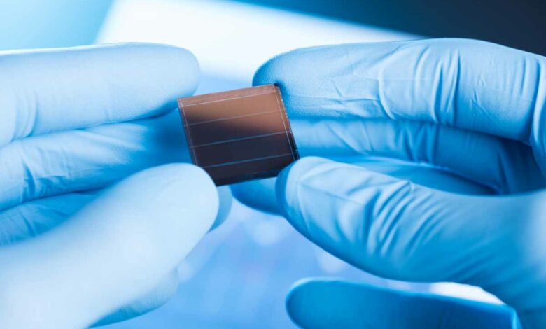 Une nouvelle génération de cellules solaires organiques avec des reliefs aurait des capacités d'absorption de la lumière exceptionnelles.