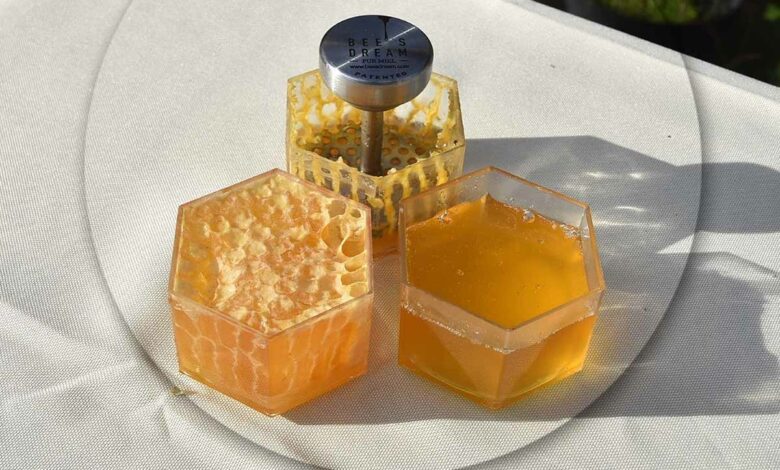 L'alvéole Bee's Kiss est introduite dans une ruche ou les abeilles vont y produire directement leur miel.