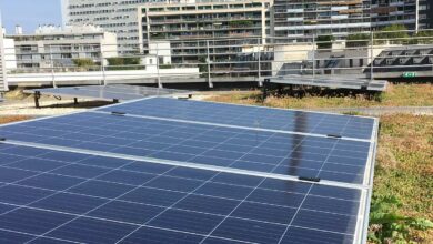 Oasis Biosolar est la seule solution 3 en 1 pour vos installations photovoltaïques en toiture terrasse.