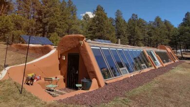 Cette maison autonome est nichée dans les collines de la Forêt-Noire de Colorado Springs.
