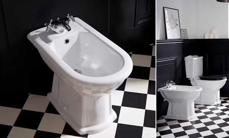 Le bidet sert à la toilette intime et a progressivement disparu de nos salles de bain.