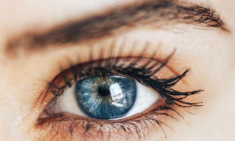 Les yeux bleus verraient mieux que les autres avec une faible luminosité, selon cette étude.