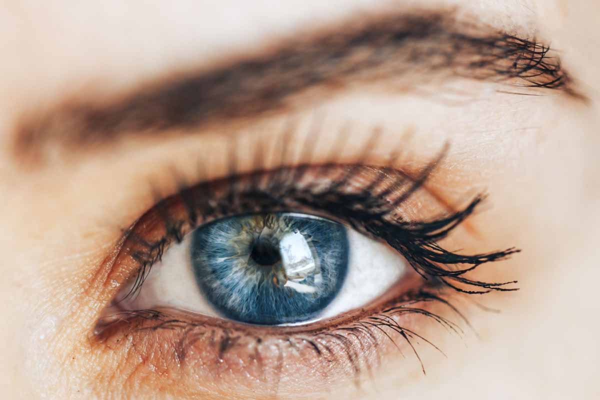 Les yeux bleus verraient mieux que les autres avec une faible luminosité, selon cette étude.