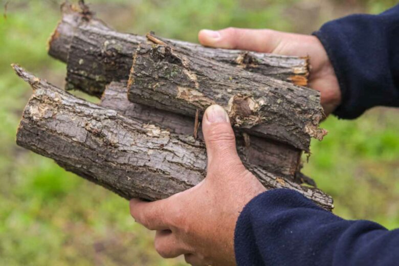 Les franciliens ont droit à une prime Bois (sous certaines conditions).