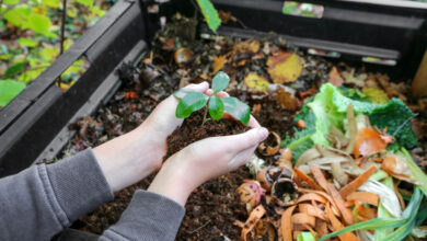 Recycler ses biodéchets pour en faire du compost.