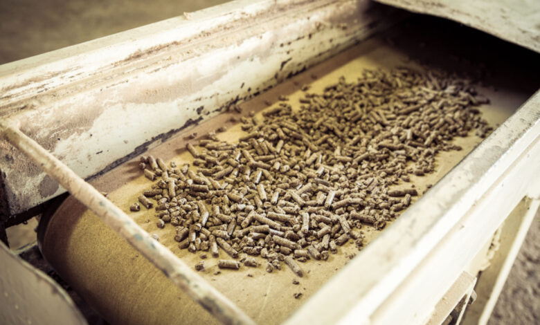 Selon une étude, la production industrielle de pellets les rendraient plus polluants que les énergies fossiles.