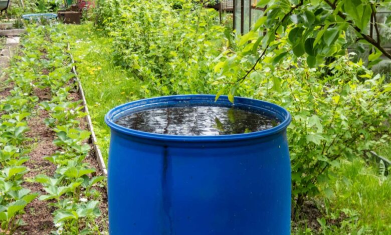Comment garder l'eau propre dans un récupérateur d'eau de pluie ?