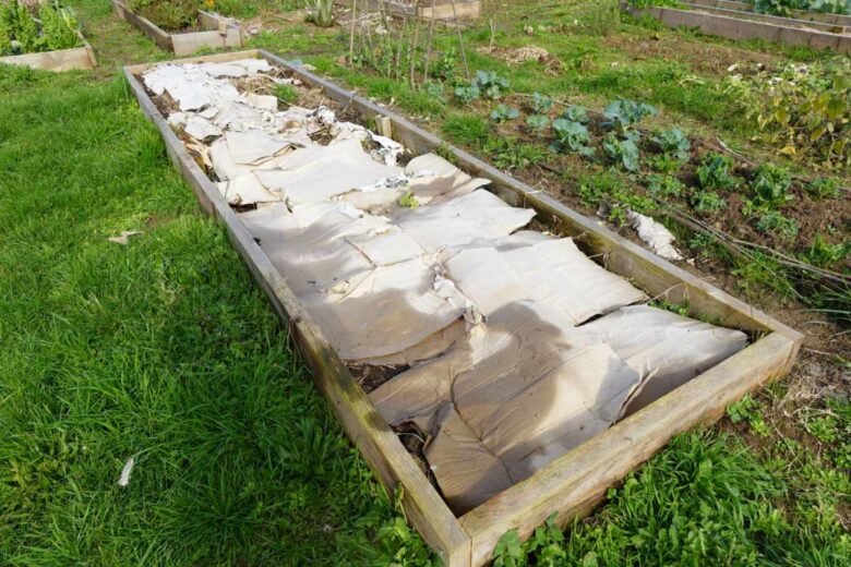 Une simple couche de carton pour éviter les mauvaises herbes avant de planter.