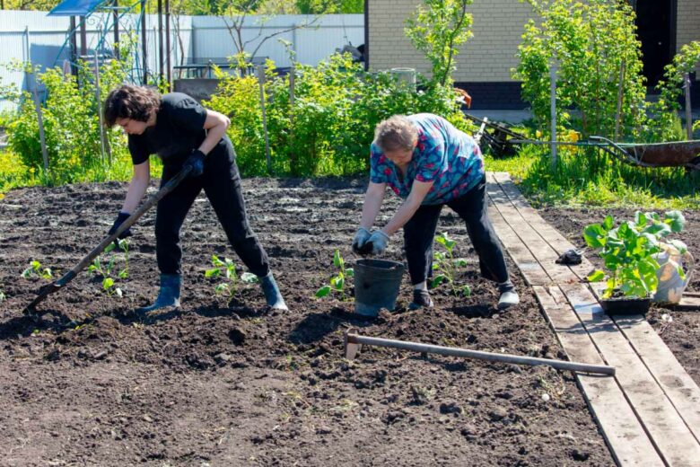 Ai-je le droit de transformer la pelouse du jardin en potager si je suis locataire ?