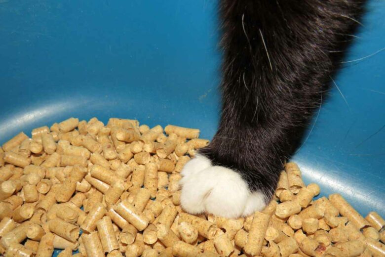 Votre chat peut faire ses besoins dans des pellets de bois.