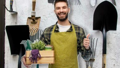 Un ensemble d'outils de jardinage pour le potager.