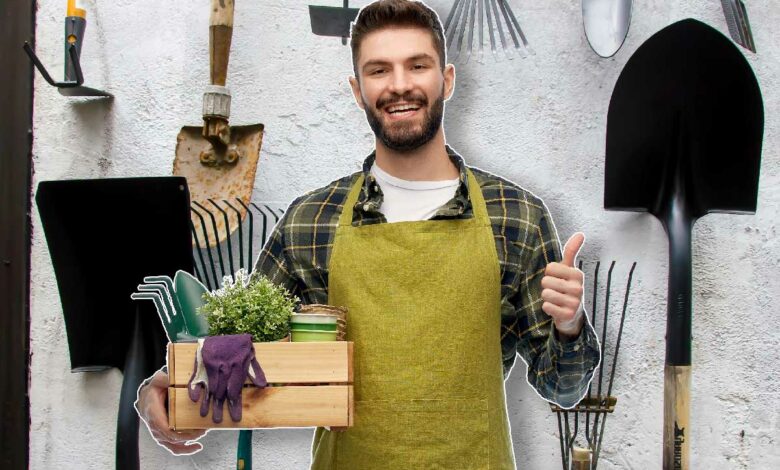 Un ensemble d'outils de jardinage pour le potager.