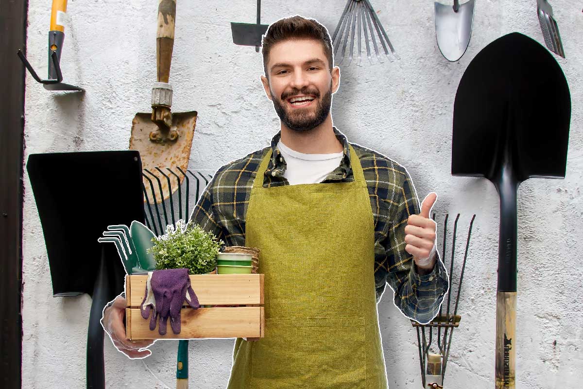 Un ensemble d'outils de jardinage pour le potager.