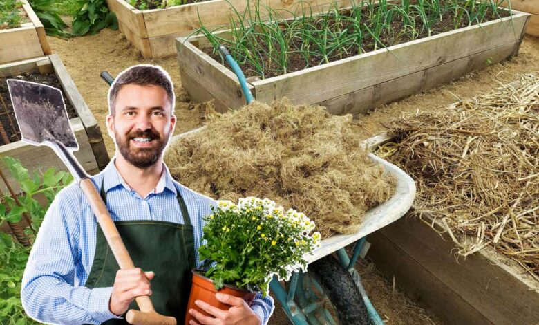 L'herbe de tonte, peut-elle servir de paillage pour le jardin ou le potager ?