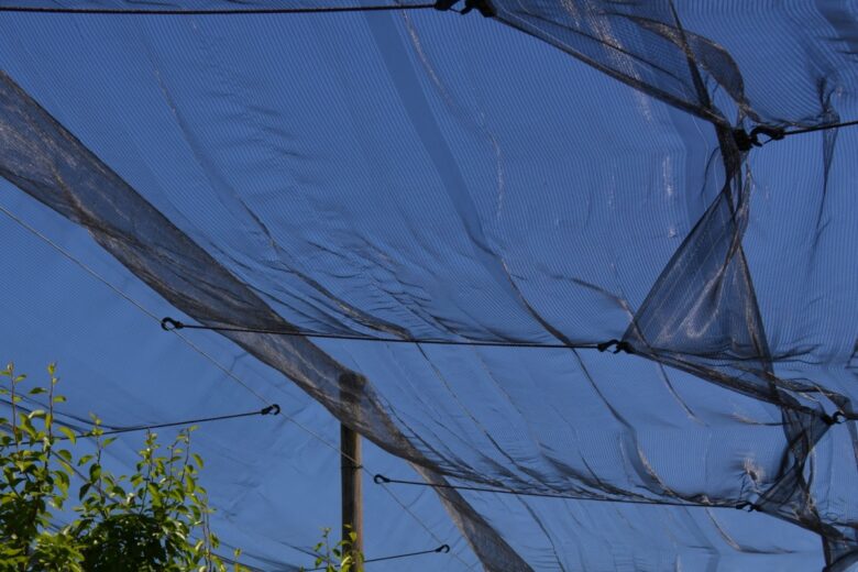 Des filets de protection contre la grêle, pour protéger des panneaux solaires.