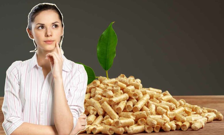 Les pellets de bois se conservent-ils longtemps ?