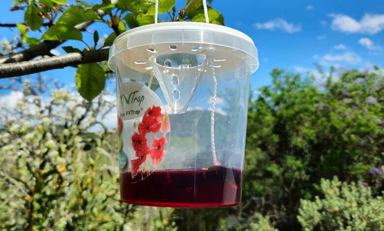 Le piège VV Trap Bucket à installer dès maintenant pour lutter contre les frelons asiatiques.