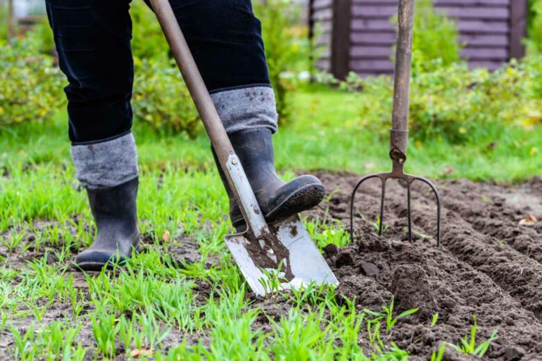 Un jardinier préparant son sol pour son potager.