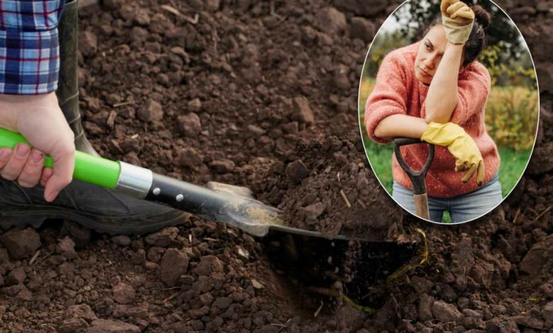 Préparer le sol du potager n'est pas de tout repos !