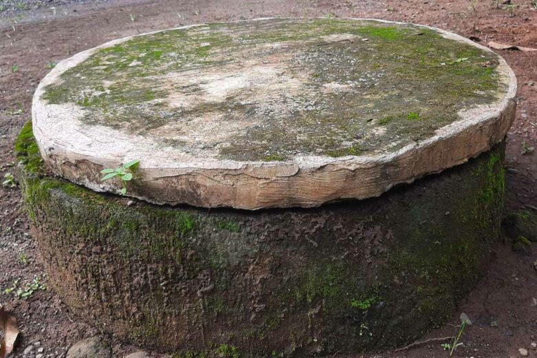 Un vieux puits recouvert d'une dalle peut-il être remis en fonctionnement ?