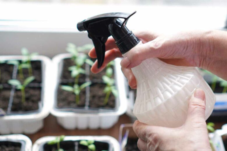 Un spray à base de coquilles d'œufs pour vos plantes.