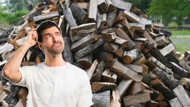 Vous n'allez pas stocker votre bois en tas au milieu du jardin ?