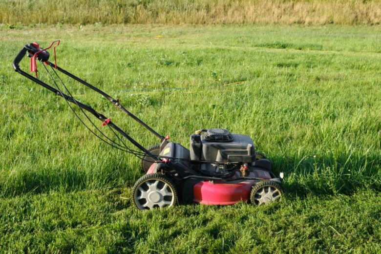 Le mulching consiste à tondre sans ramasser l'herbe, afin d'enrichir le sol.