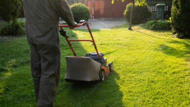 Êtes-vous adepte du mulching ou de la tonte traditionnelle ?