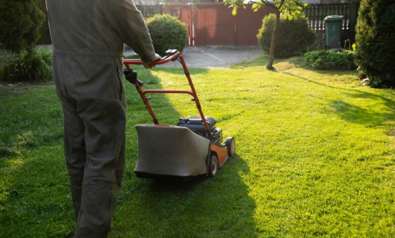 Êtes-vous adepte du mulching ou de la tonte traditionnelle ?
