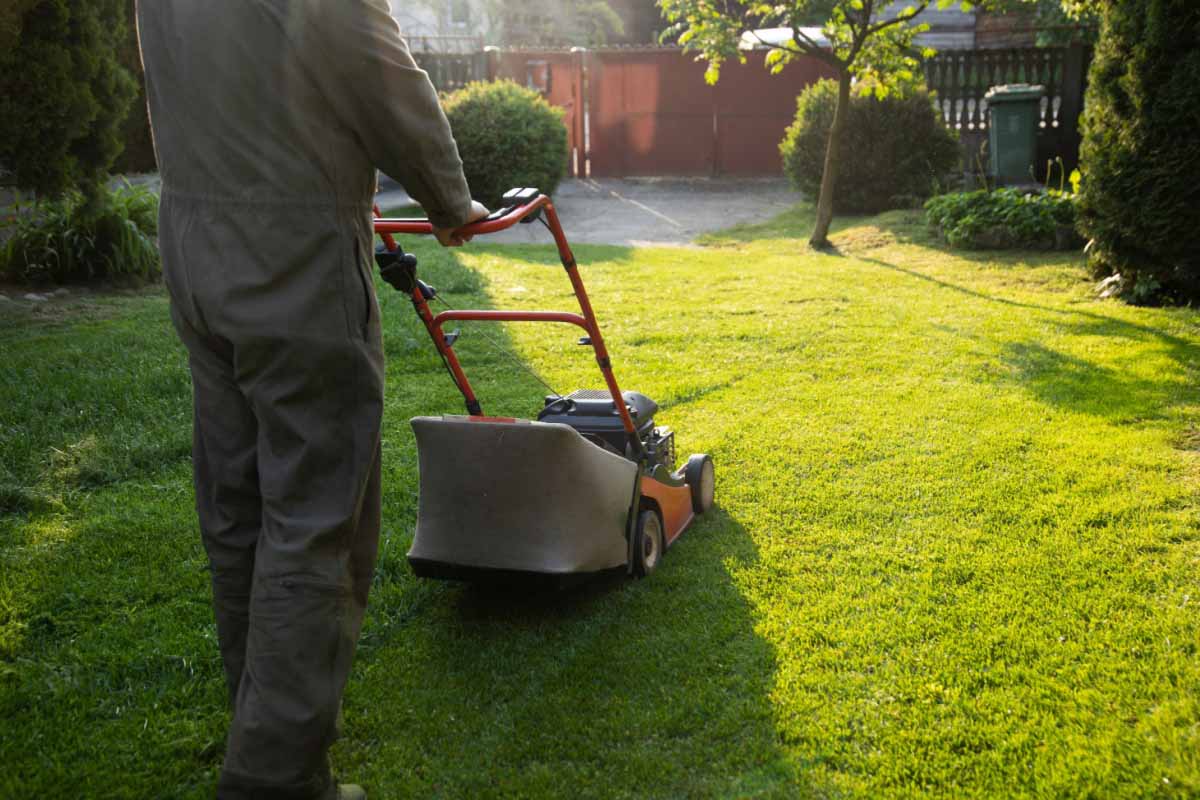 Êtes-vous adepte du mulching ou de la tonte traditionnelle ?