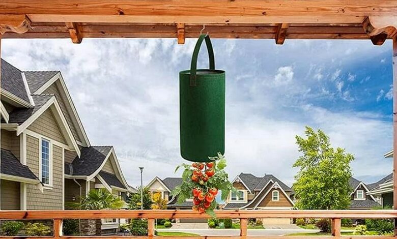 Des tomates suspendues ? Une idée pour gagner de la place, et cultiver sur un balcon ou une terrasse.