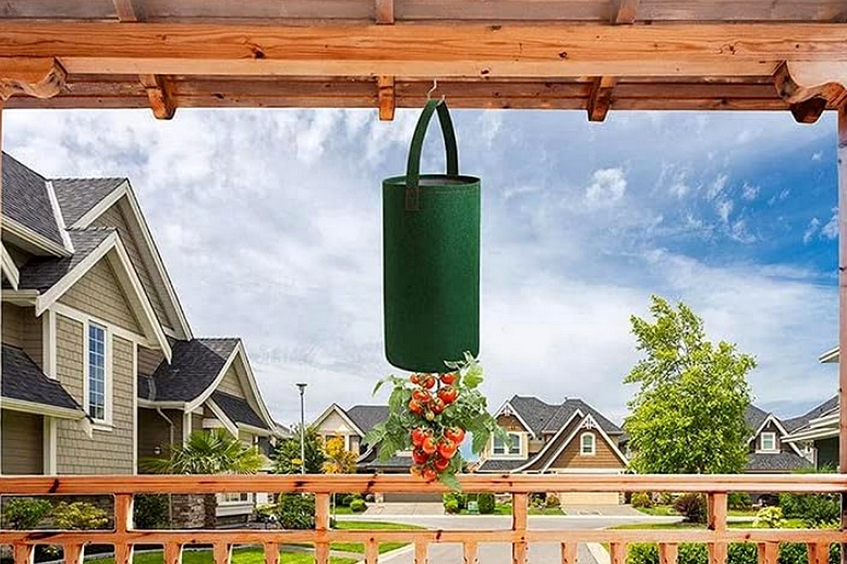 Des tomates suspendues ? Une idée pour gagner de la place, et cultiver sur un balcon ou une terrasse.