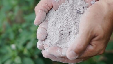 Puis-je mettre les cendres dans le compost ?