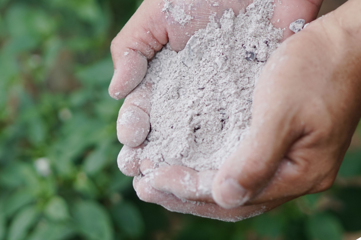 Puis-je mettre les cendres dans le compost ?