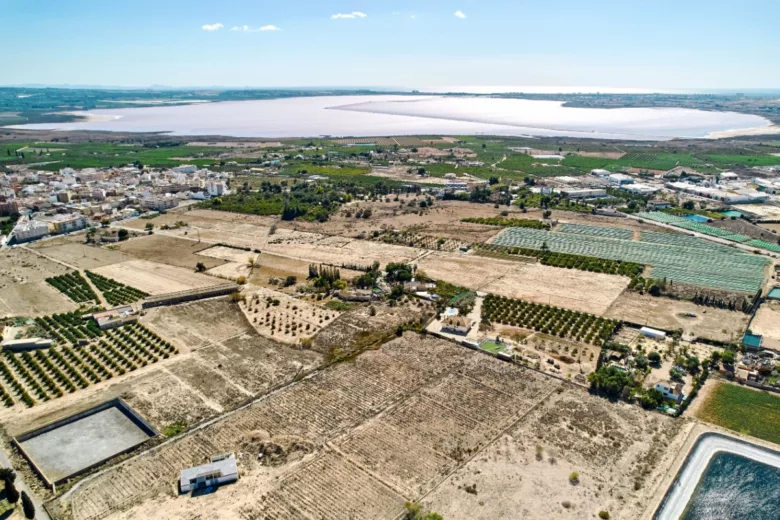 Des techniques pour que les terres salines deviennent des terres arables.