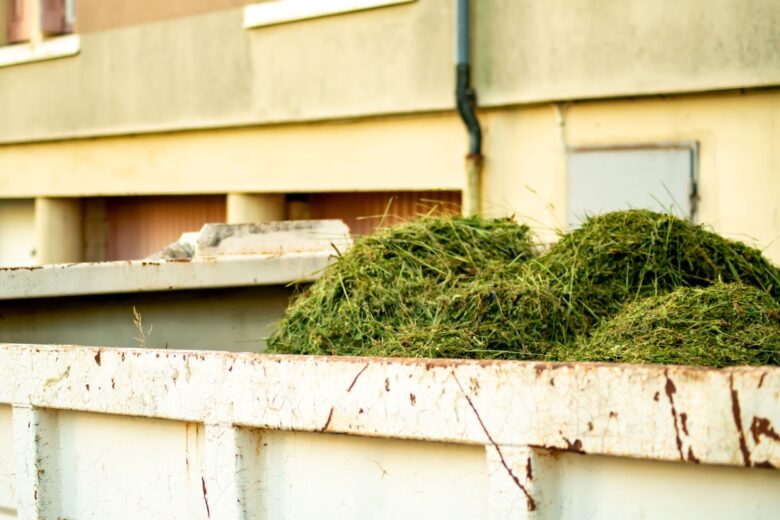 L'herbe de tonte coupée peut servir de paillage pour le jardin potager. 