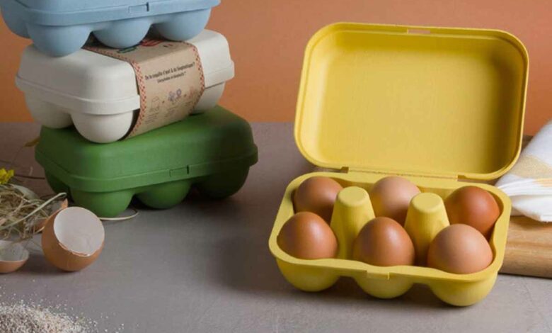 Des boites à œufs en plastique, fabriquées à base de coquilles d'œufs, fruit de la collaboration entre plusieurs entreprises bretonnes.