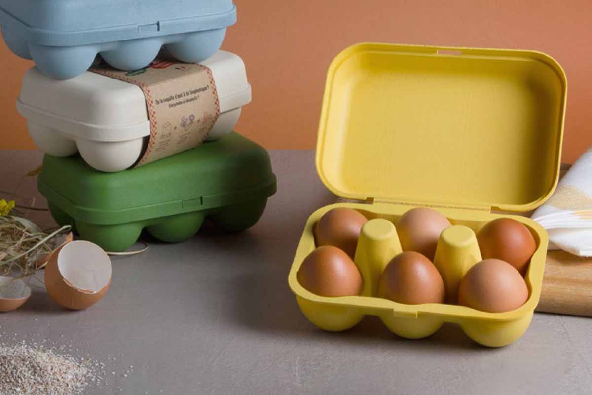 Des boites à œufs en plastique, fabriquées à base de coquilles d'œufs, fruit de la collaboration entre plusieurs entreprises bretonnes.
