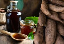 Le sirop de yacon est issu de la poire de terre, également appelée Smallanthus sonchifolius.