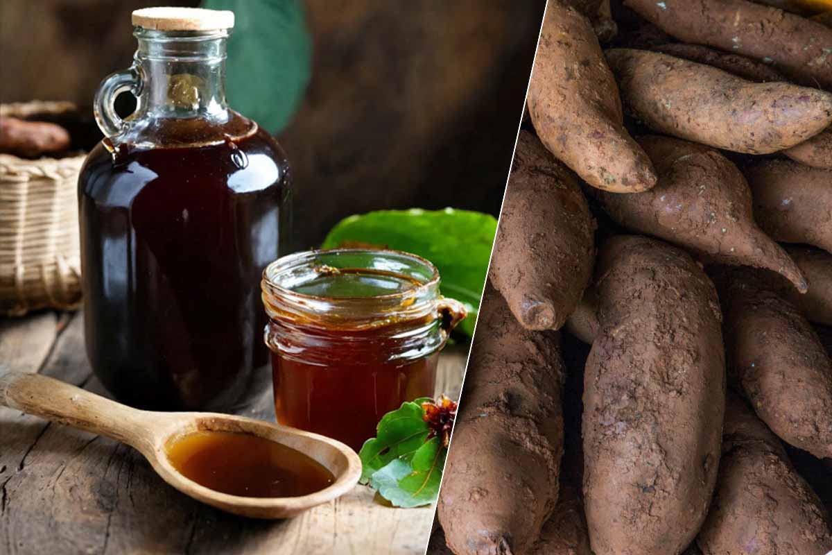 Le sirop de yacon est issu de la poire de terre, également appelée Smallanthus sonchifolius.