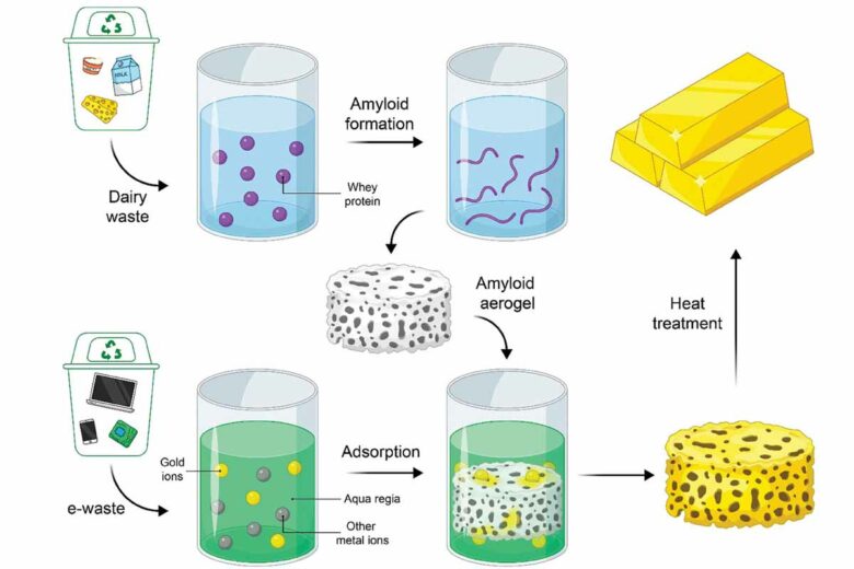 Sché ma du processus de récupération de l'or des déchets électroniques à l'aide de sous-produits alimentaires.