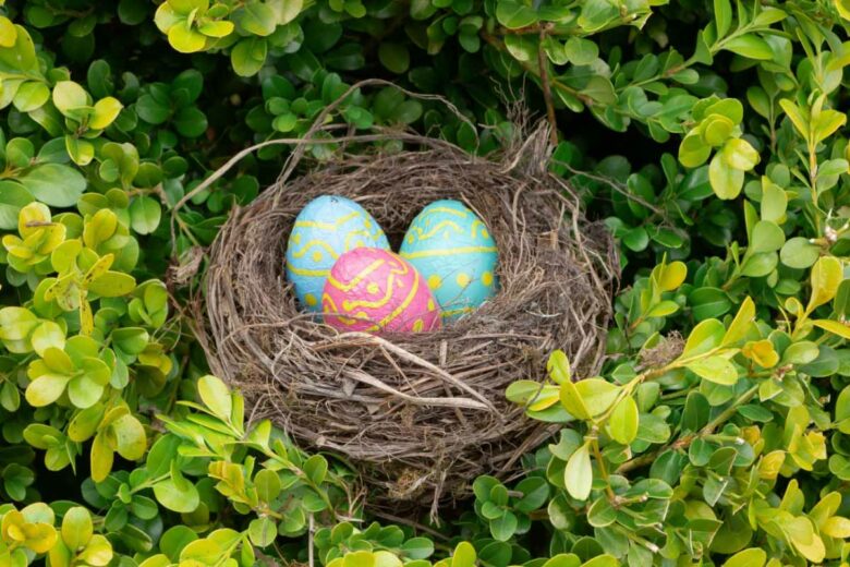 Des œufs en chocolat que les enfants vont devoir trouver à Pâques.