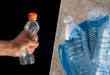 Faut-il compresser ou non les bouteilles en plastique vide.